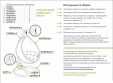 Превью картинка Кресло подвесное M-Group Круг 11050210 (коричневый ротанг/синяя подушка)