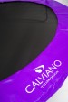 Превью картинка Батут Calviano 374см 12ft Inside master purple (с защитной сеткой)