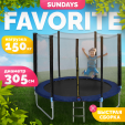 Превью картинка Батут Sundays Favorite 10FT (синий, с сеткой, с лестницей)
