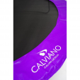 Превью картинка Батут Calviano 312см 10ft Inside Master purple