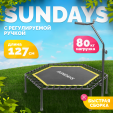 Превью картинка Батут для джампинга Sundays SDT-TP105 D127