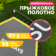 Превью картинка Батут для джампинга Sundays SDT-TP105 D127