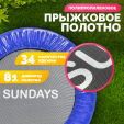 Превью картинка Батут Sundays D101 (синий)