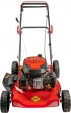 Превью картинка Газонокосилка бензиновая DDE LM 51 Pro / 246-623