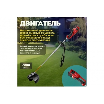 Триммер аккумуляторный Wortex TB 3036 ALL1 Триммер аккумуляторный Wortex TB 3036 ALL1