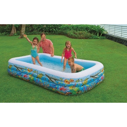 Надувной бассейн Intex 58485NP (310х178х51) Надувной бассейн Intex 58485NP (310х178х51)