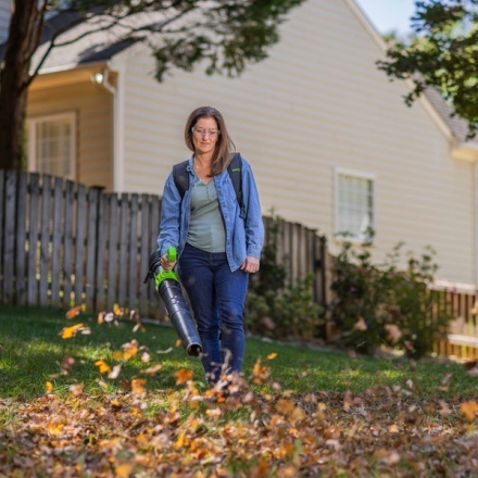 Воздуходувка аккумуляторная Greenworks GD40BPG2 (2408107) Воздуходувка аккумуляторная Greenworks GD40BPG2 (2408107)