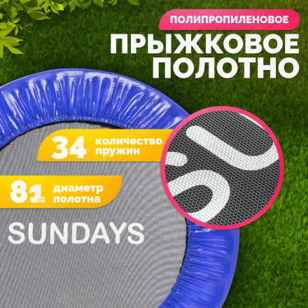 Батут Sundays D101 (синий) Батут Sundays D101 (синий)