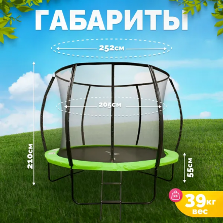 Батут Sundays Champion Premium-D252 (с ограждением) Батут Sundays Champion Premium-D252 (с ограждением)