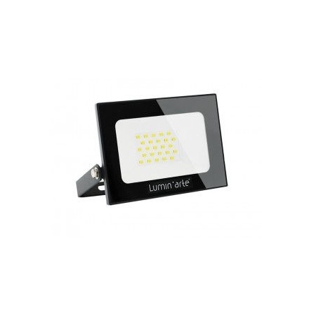 Прожектор светодиодный Lumin`arte LFL-10W/05