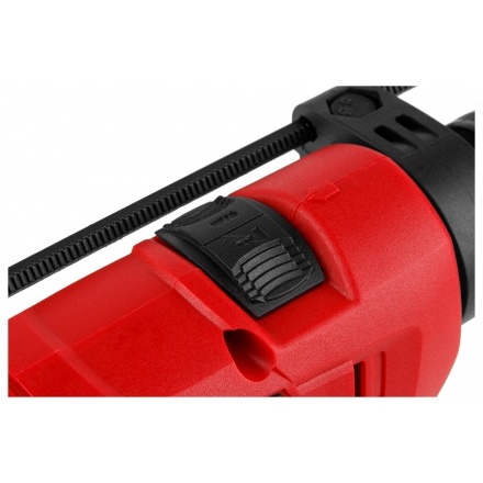 Дрель ударная WORTEX DS 1306-2 (DS130620019) Дрель ударная WORTEX DS 1306-2 (DS130620019)