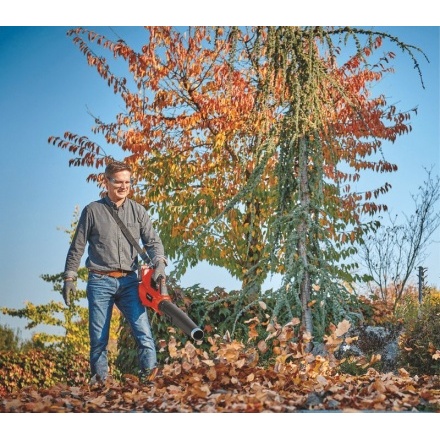 Воздуходувка аккумуляторная Einhell GE-LB 36/210 Li E-Solo Воздуходувка аккумуляторная Einhell GE-LB 36/210 Li E-Solo