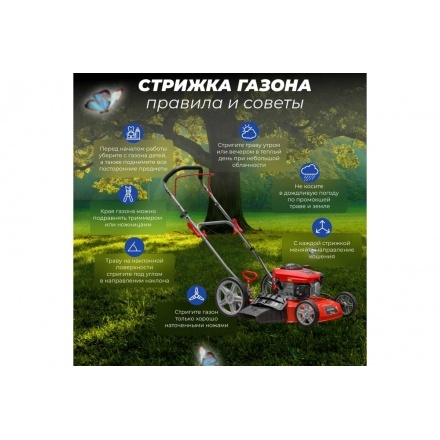 Газонокосилка бензиновая ECO LG-810 (EC1507-3) Газонокосилка бензиновая ECO LG-810 (EC1507-3)