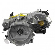 Двигатель Champion G420HCE