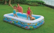 Надувной бассейн Intex 58485NP (310х178х51)