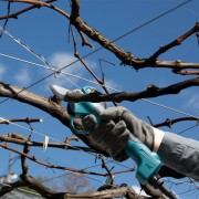 Секатор аккумуляторный Makita DUP180Z