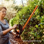 Кусторез аккумуляторный Worx WG261E.9