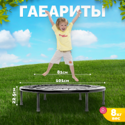 Батут Sundays D101 (черный)