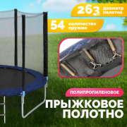 Батут Sundays Favorite 10FT (синий, с сеткой, с лестницей)