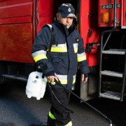 Опрыскиватель Marolex Industry Acid line 9 (пакет) Опрыскиватель Marolex Industry Acid line 9 (пакет)