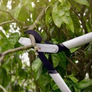 Сучкорез FISKARS LX92 PowerGear X малый (1020186) Сучкорез FISKARS LX92 PowerGear X малый (1020186)